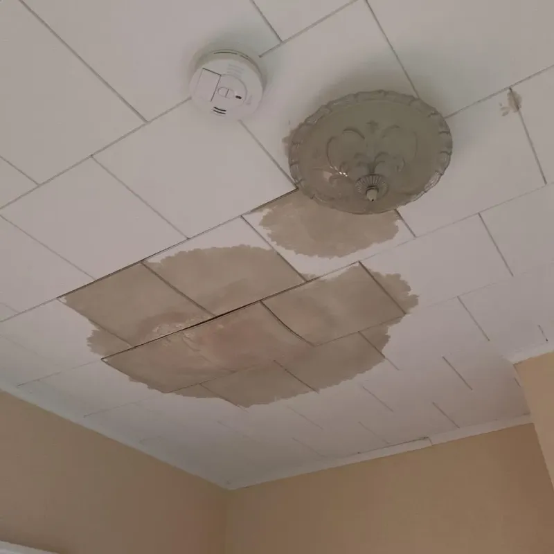 Ceiling Water Damage Repair in Deposit, NY