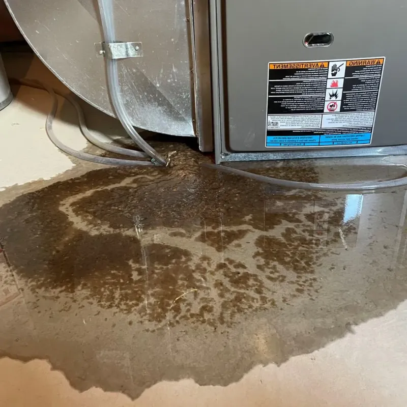 Pipe Burst and Leak Restoration in Deposit, NY